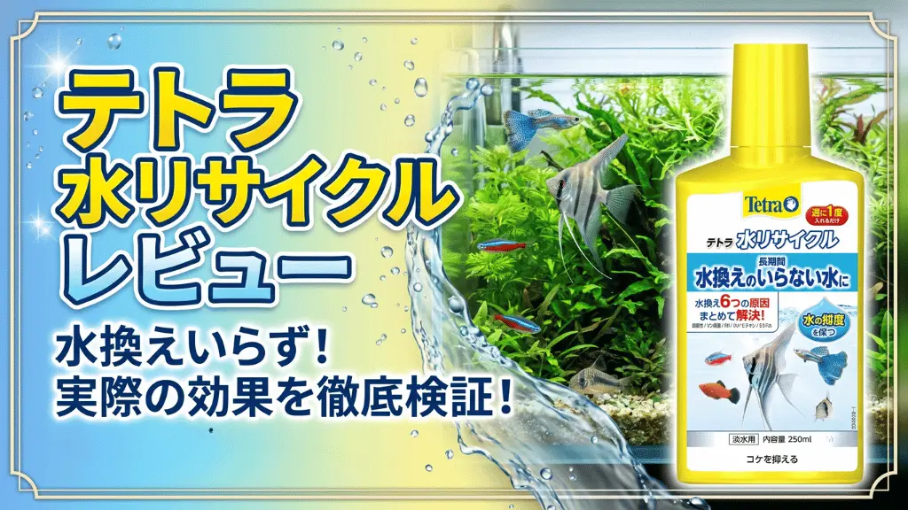 テトラ水リサイクルレビュー！メリットとデメリットを解説