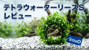 テトラウォーターリースSレビュー！メリットとデメリットを解説