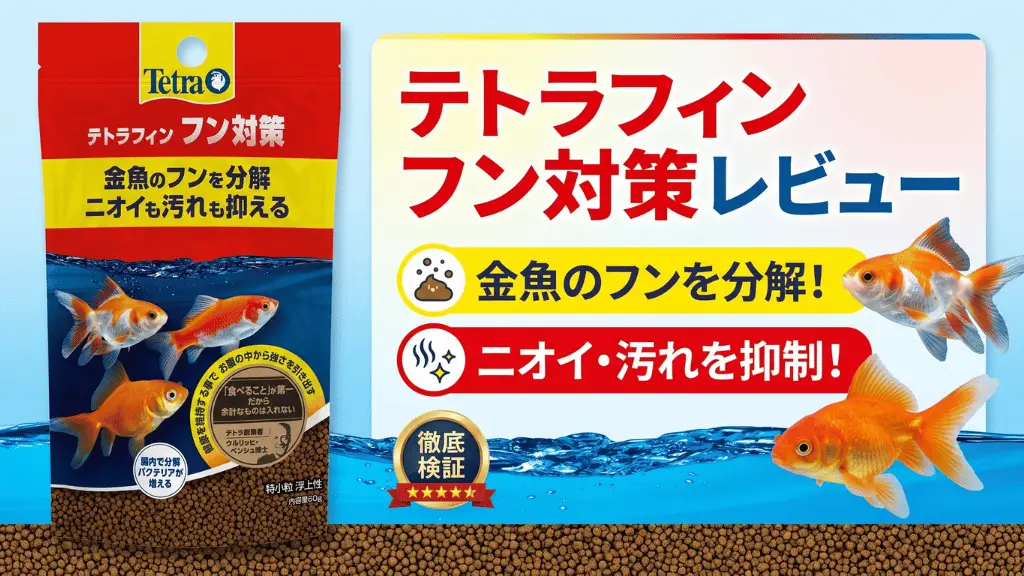 テトラフィンフン対策レビュー！メリットとデメリットを解説