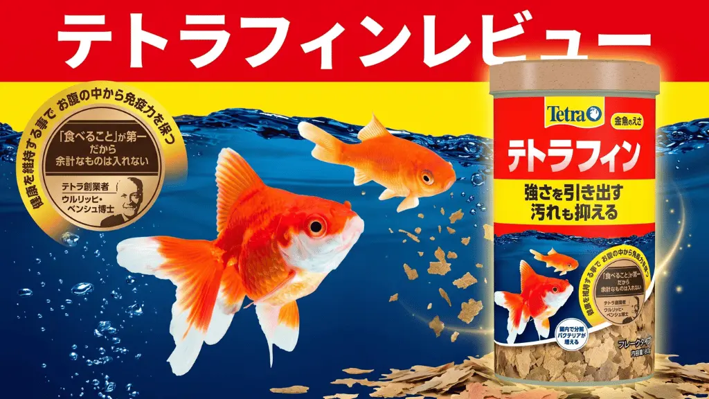 テトラフィンレビュー！メリットとデメリットを解説