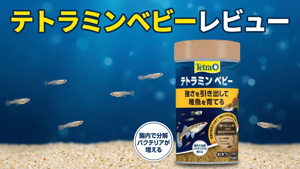 テトラミンベビーレビュー！メリットとデメリットを解説