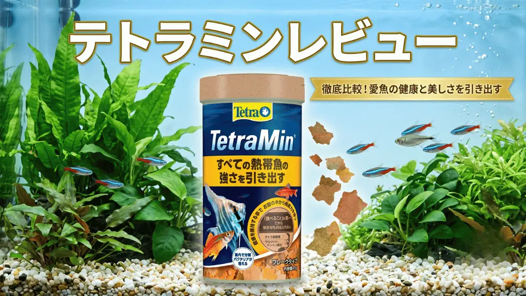 テトラミンレビュー！メリットとデメリットを解説