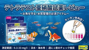 テトラテスト亜硝酸試薬レビュー！メリットとデメリットを解説