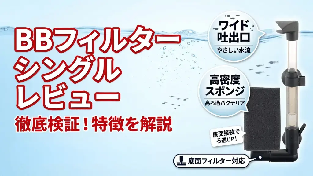BBフィルターシングルレビュー！メリットとデメリットを解説