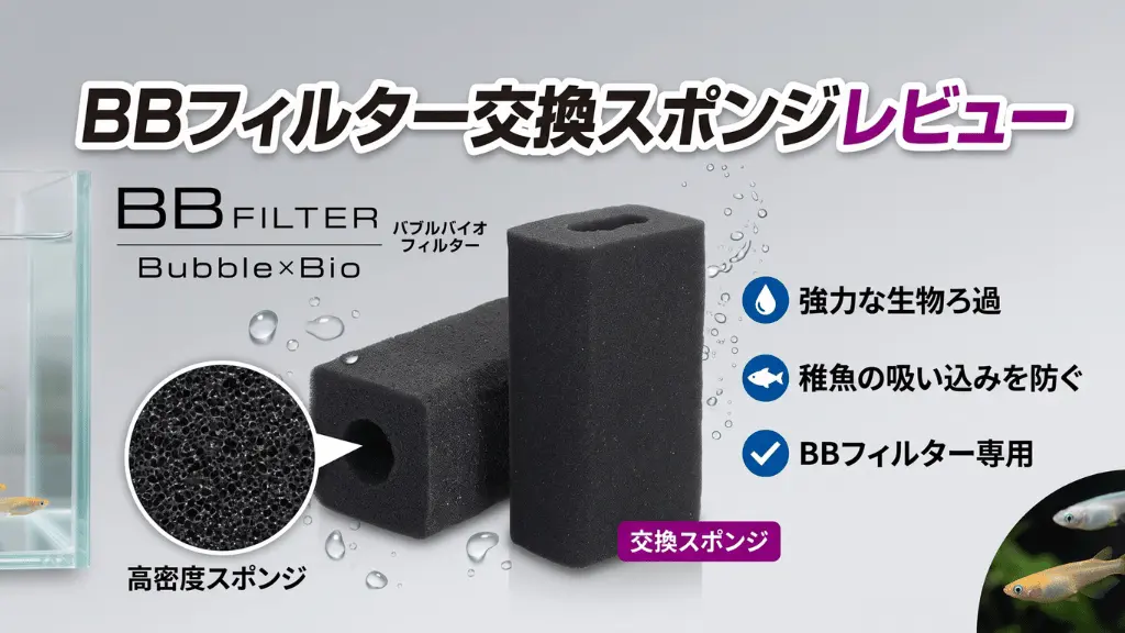 BBフィルター交換スポンジレビュー！メリットとデメリットを解説