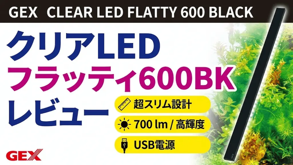 クリアLEDフラッティ600BKレビュー！メリットとデメリットを解説