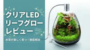 クリアLEDリーフグローレビュー！メリットとデメリットを解説