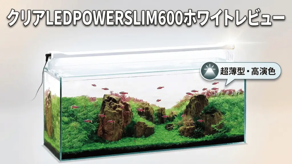 クリアLEDPOWERSLIM600ホワイトレビュー！メリットとデメリットを解説
