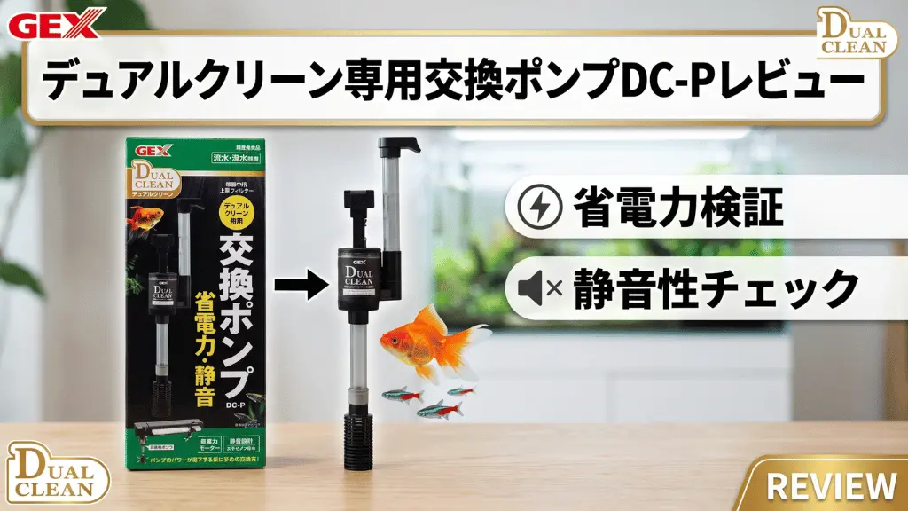 デュアルクリーン専用交換ポンプDC-Pレビュー！メリットとデメリットを解説