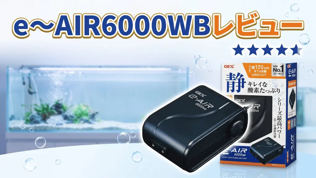 e～AIR6000WBレビュー！メリットとデメリットを解説