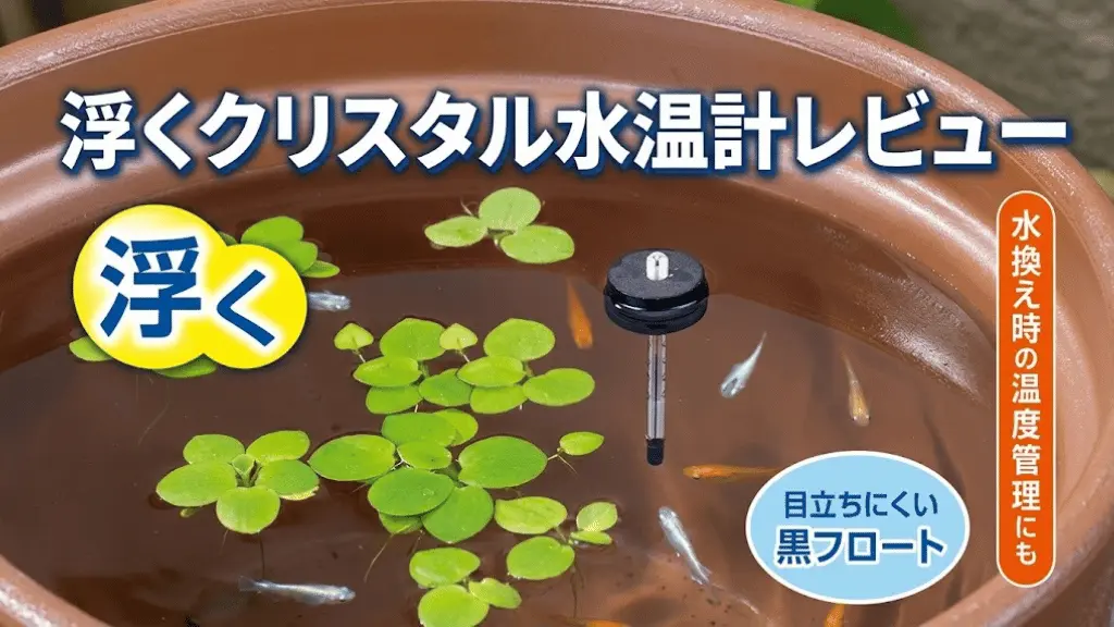 浮くクリスタル水温計レビュー！メリットとデメリットを解説