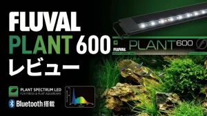 FLUVALPLANT600レビュー！メリットとデメリットを解説