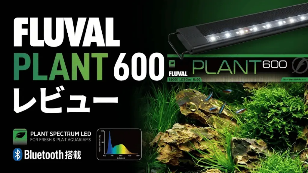 FLUVALPLANT600レビュー！メリットとデメリットを解説