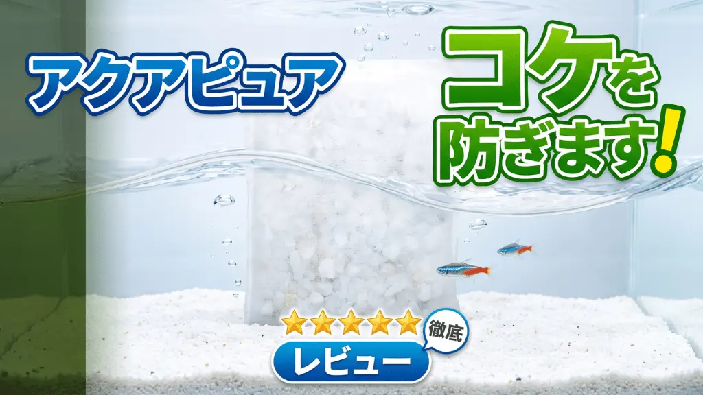 アクアピュアコケを防ぎます！レビュー！メリットとデメリットを解説
