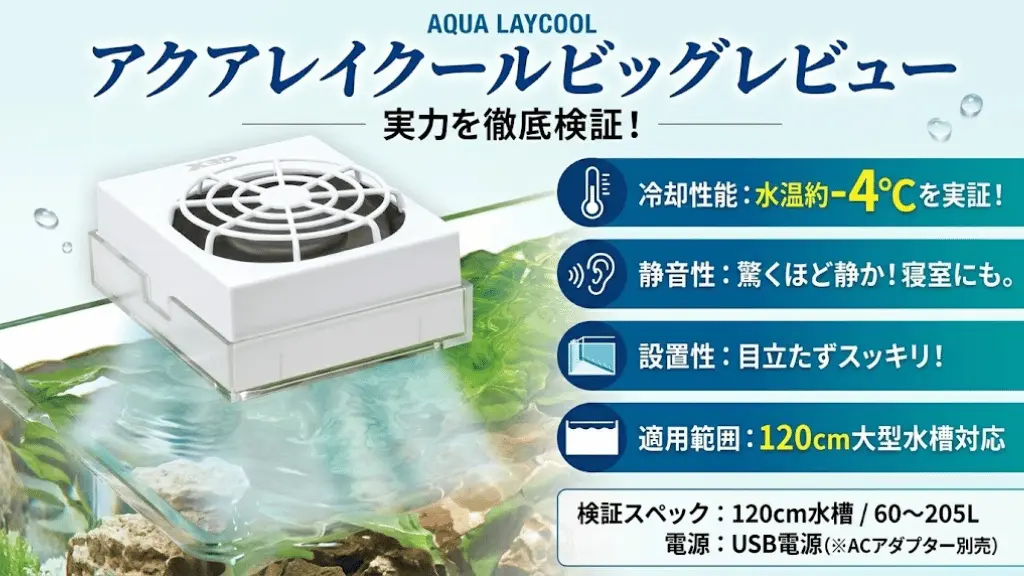 アクアレイクールビッグレビュー！メリットとデメリットを解説