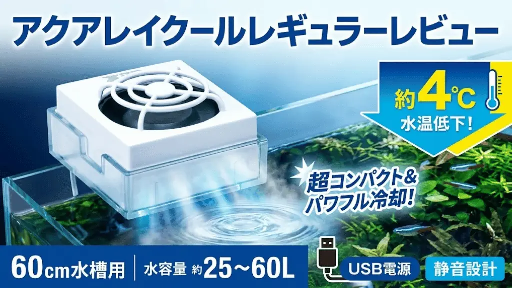 アクアレイクールレギュラーレビュー！メリットとデメリットを解説