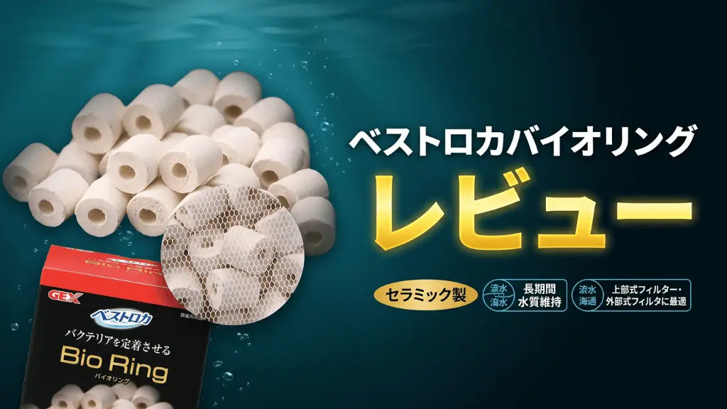 ベストロカバイオリングレビュー！メリットとデメリットを解説