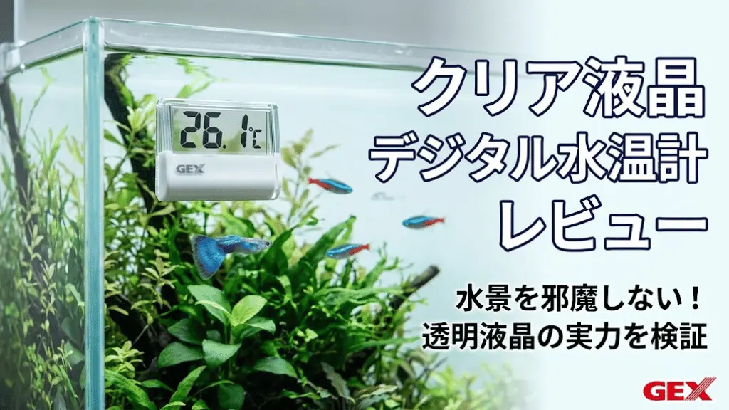クリア液晶デジタル水温計レビュー！メリットとデメリットを解説