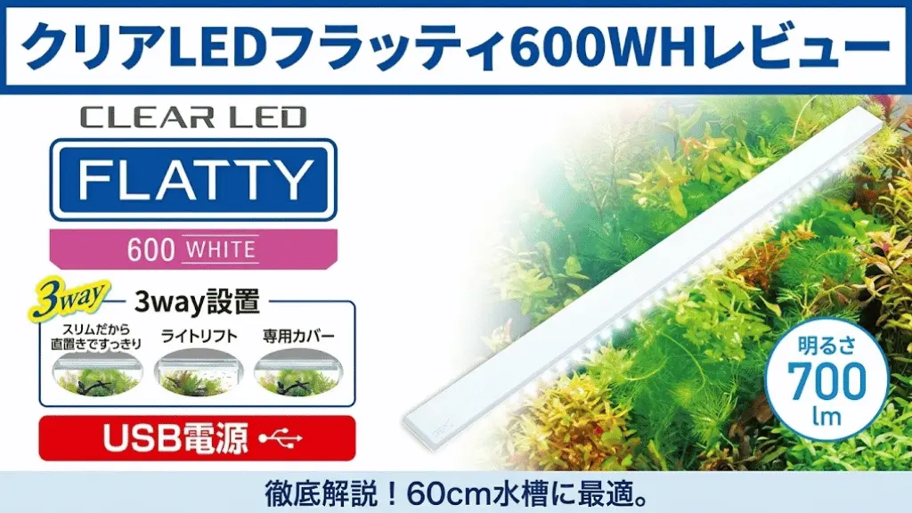 クリアLEDフラッティ600WHレビュー！メリットとデメリットを解説