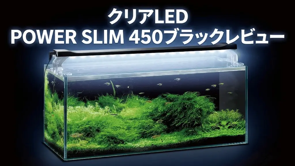 クリアLEDPOWERSLIM450ブラックレビュー！メリットとデメリットを解説