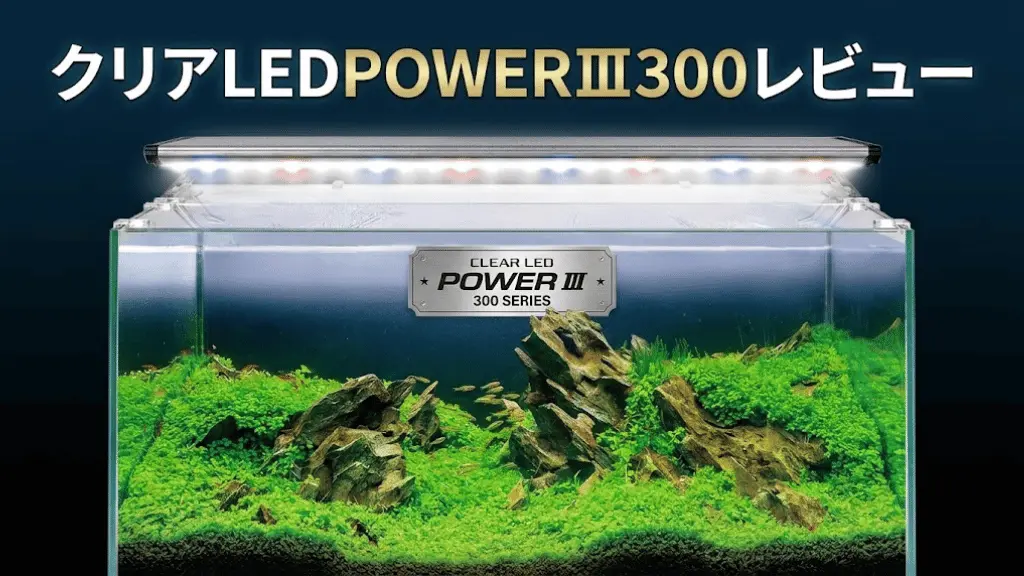 クリアLEDPOWERⅢ300レビュー！メリットとデメリットを解説