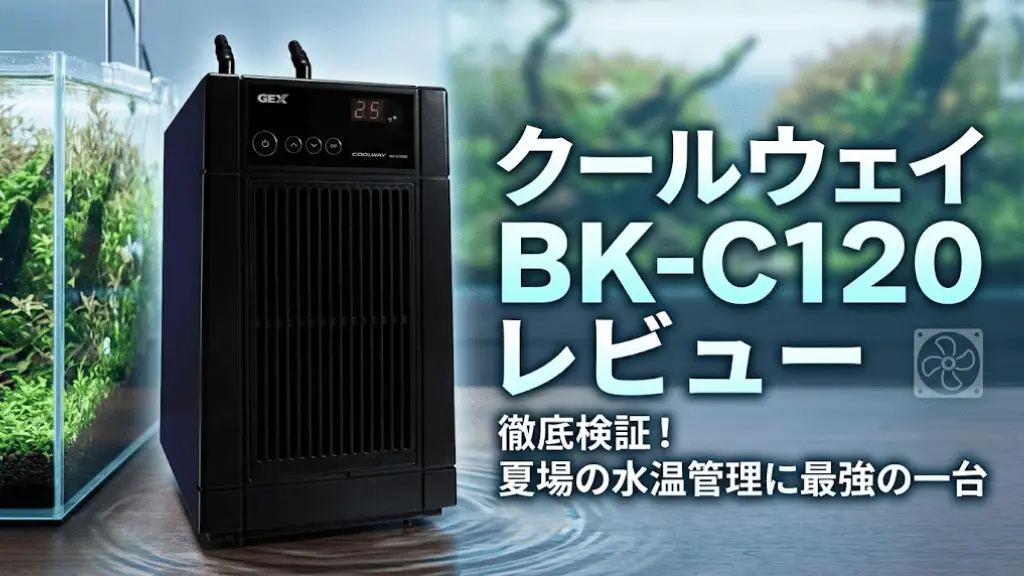 クールウェイBK-C120レビュー！メリットとデメリットを解説