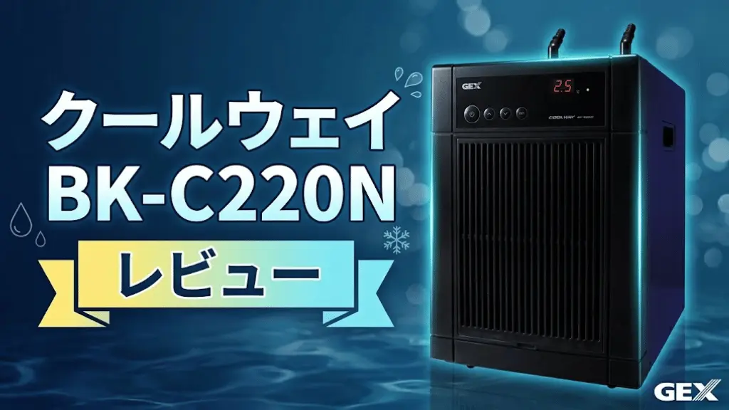 クールウェイBK-C220Nレビュー！メリットとデメリットを解説