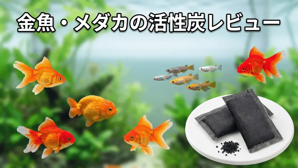 金魚・メダカの活性炭レビュー！メリットとデメリットを解説