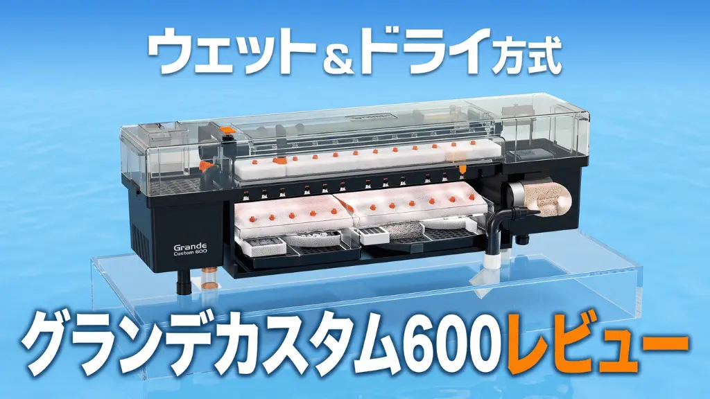 グランデカスタム600レビュー！メリットとデメリットを解説