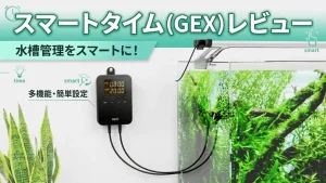 スマートタイム（GEX）レビュー！メリットとデメリットを解説
