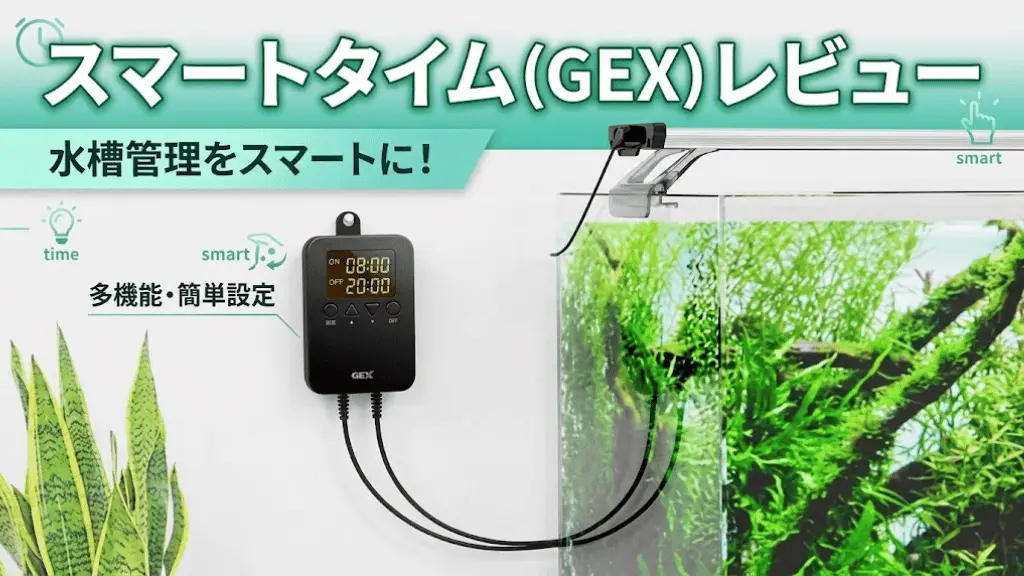 スマートタイム（GEX）レビュー！メリットとデメリットを解説