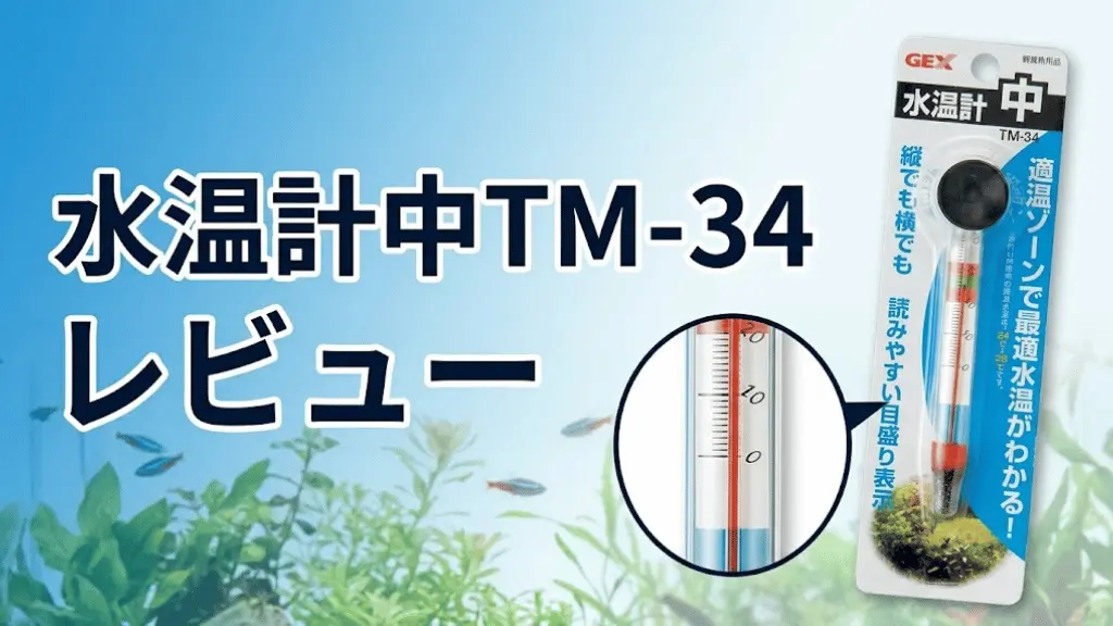 水温計中TM-34レビュー！メリットとデメリットを解説