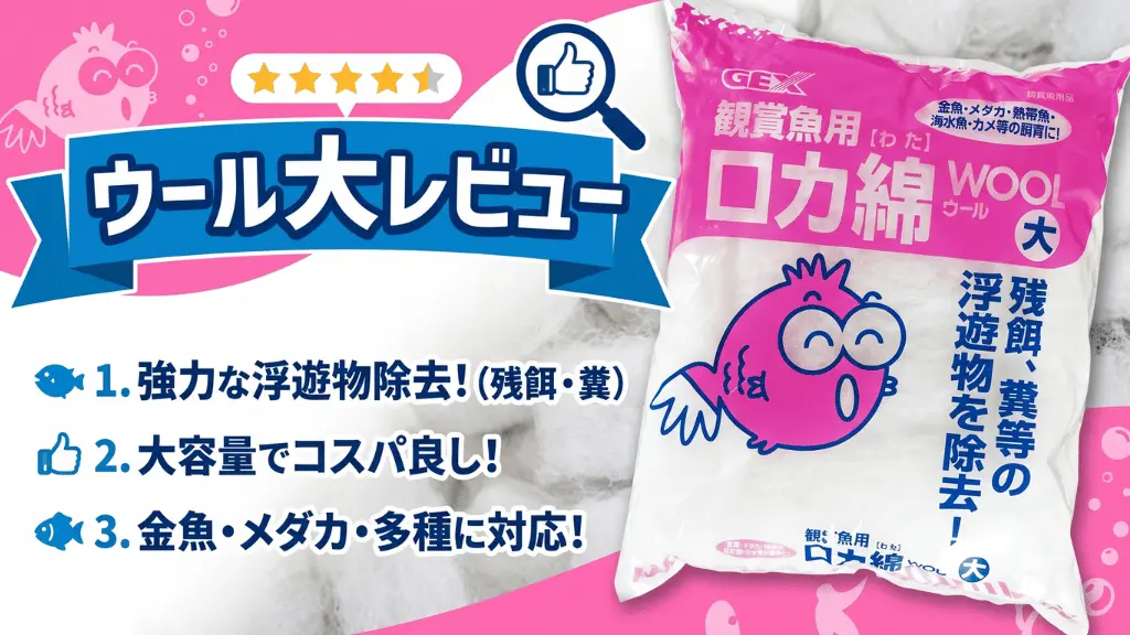 ウール大レビュー！メリットとデメリットを解説