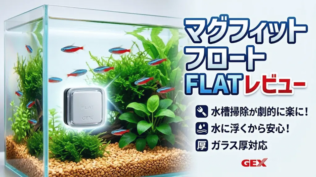 マグフィットフロートFLATレビュー！メリットとデメリットを解説