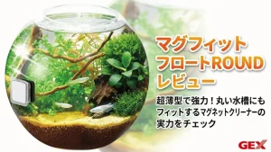 マグフィットフロートROUNDレビュー！メリットとデメリットを解説