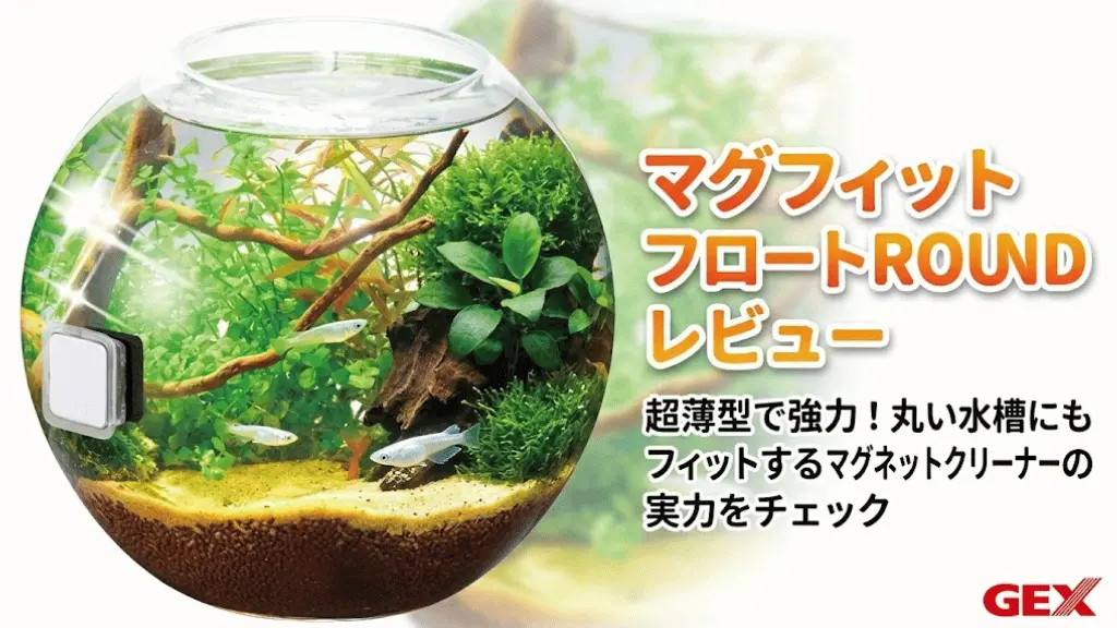 マグフィットフロートROUNDレビュー！メリットとデメリットを解説