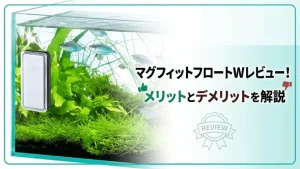 マグフィットフロートWレビュー！メリットとデメリットを解説