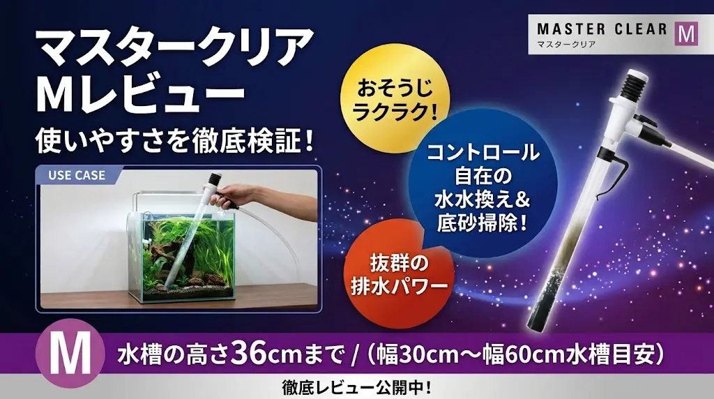 マスタークリアMレビュー！メリットとデメリットを解説