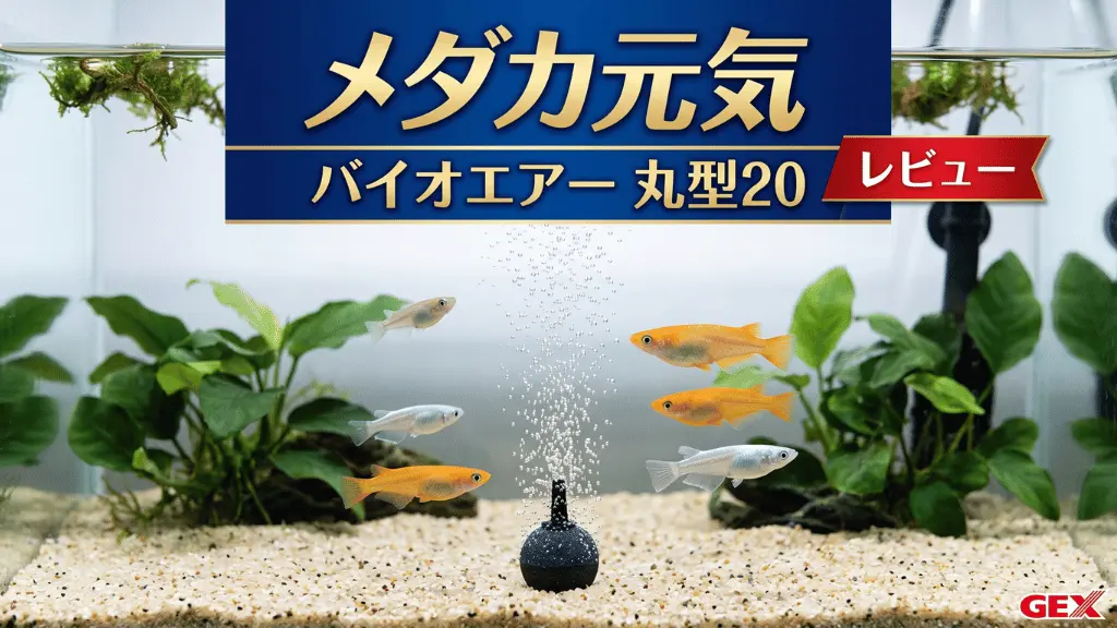 メダカ元気バイオエアー丸型20レビュー！メリットとデメリットを解説