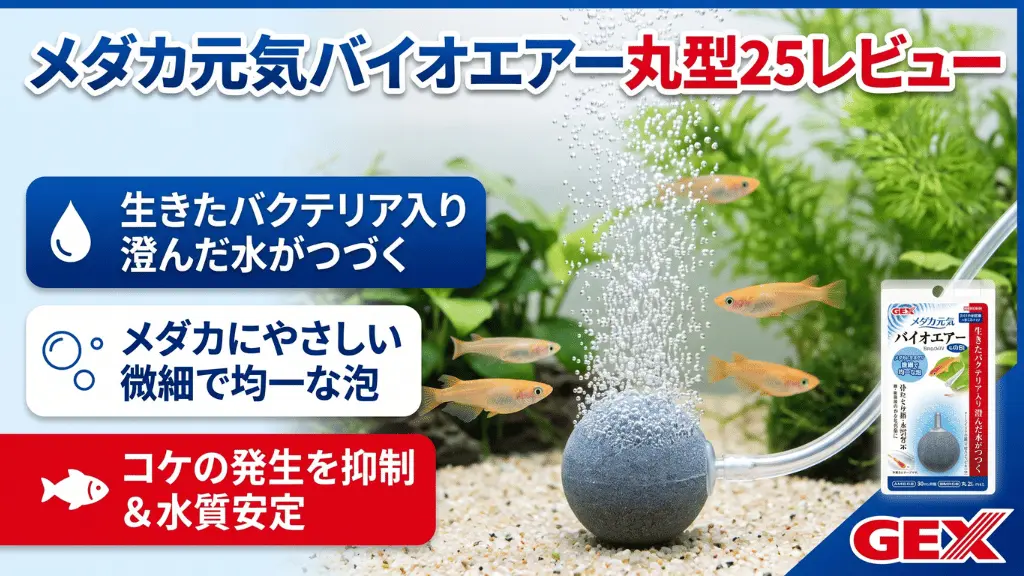 メダカ元気バイオエアー丸型25レビュー！メリットとデメリットを解説