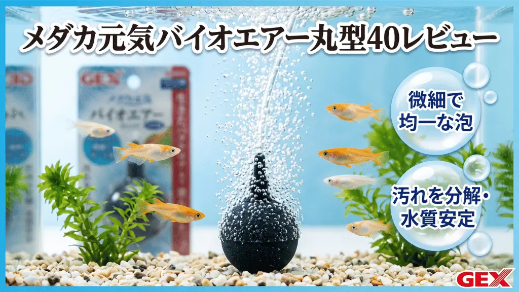 メダカ元気バイオエアー丸型40レビュー！メリットとデメリットを解説