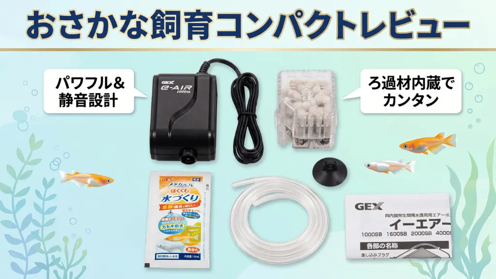 おさかな飼育コンパクトレビュー！メリットとデメリットを解説