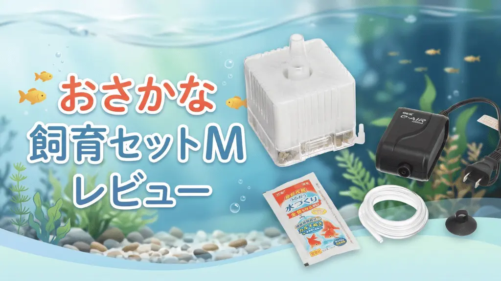 おさかな飼育セットMレビュー！メリットとデメリットを解説