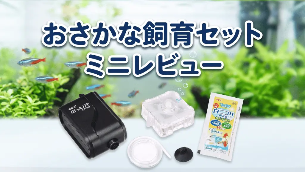 おさかな飼育セットミニレビュー！メリットとデメリットを解説