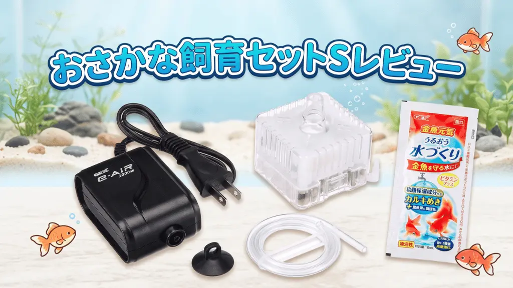 おさかな飼育セットSレビュー！メリットとデメリットを解説