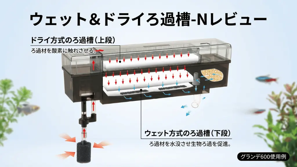 ウェット&ドライろ過槽-Nレビュー！メリットとデメリットを解説
