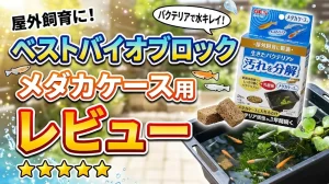 ベストバイオブロックメダカケース用レビュー！メリットとデメリットを解説