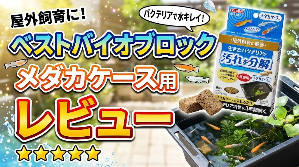 ベストバイオブロックメダカケース用レビュー！メリットとデメリットを解説