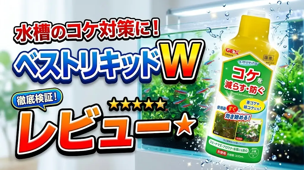 ベストリキッドWレビュー！メリットとデメリットを解説