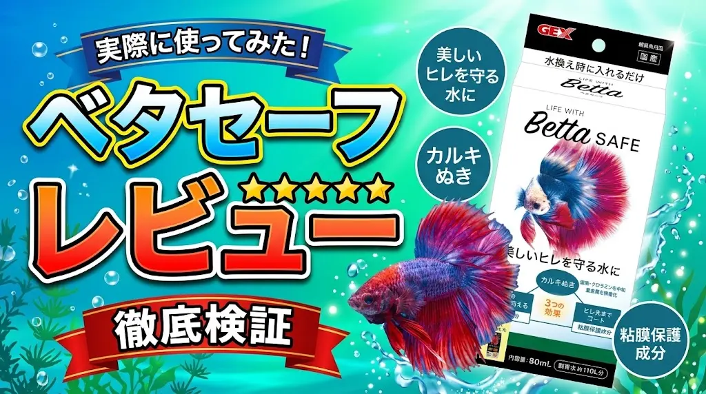 ベタセーフレビュー！メリットとデメリットを解説